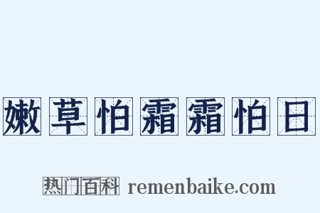 嫩草怕霜霜怕日是什么意思的图片